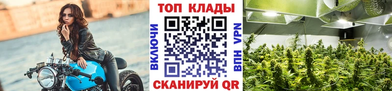 Магазин наркотиков Унеча Альфа ПВП  БУТИРАТ  ГАШ  Марихуана  Меф мяу мяу  Кодеин  Галлюциногенные грибы 