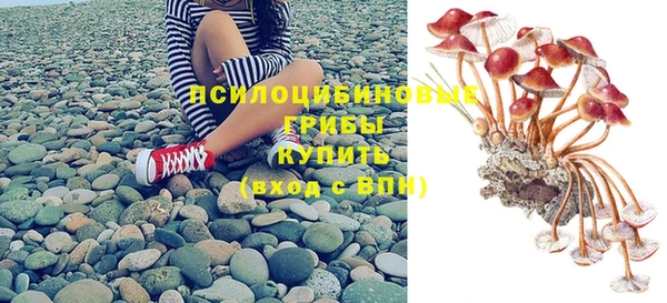 дживик Нея