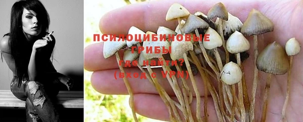 дживик Нея
