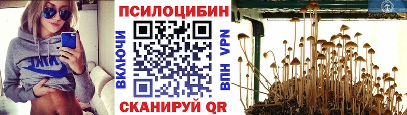 Псилоцибиновые грибы GOLDEN TEACHER  Унеча 