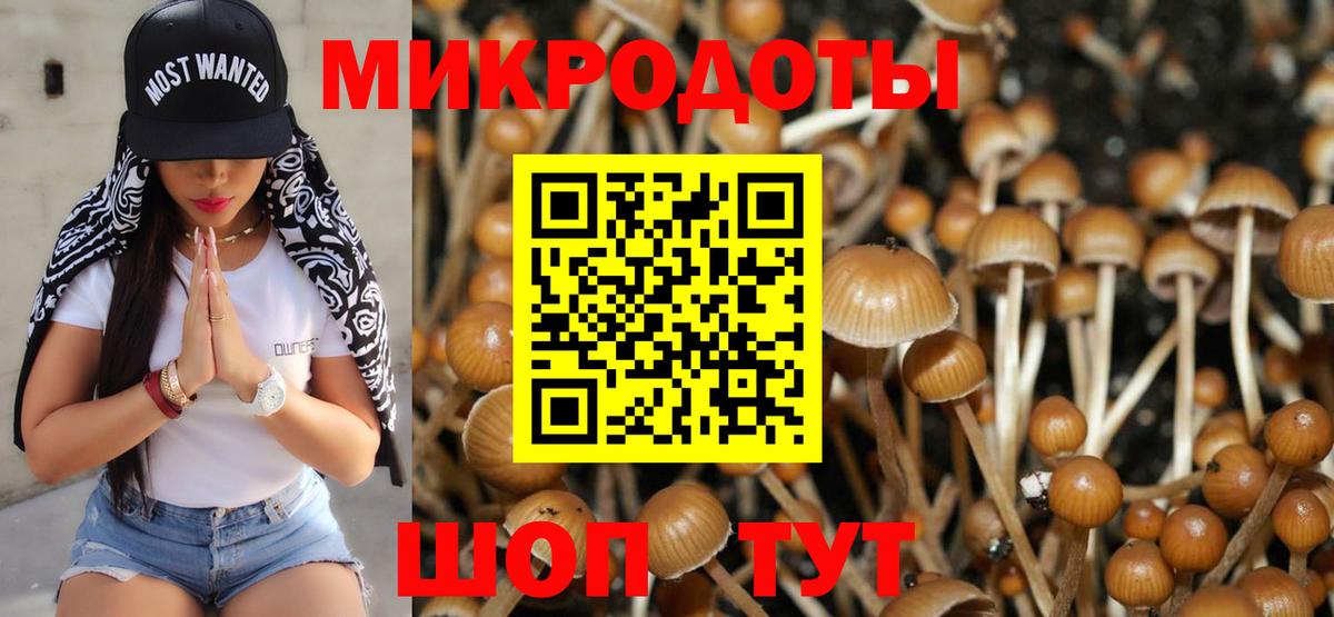 Псилоцибиновые грибы Magic Shrooms Унеча
